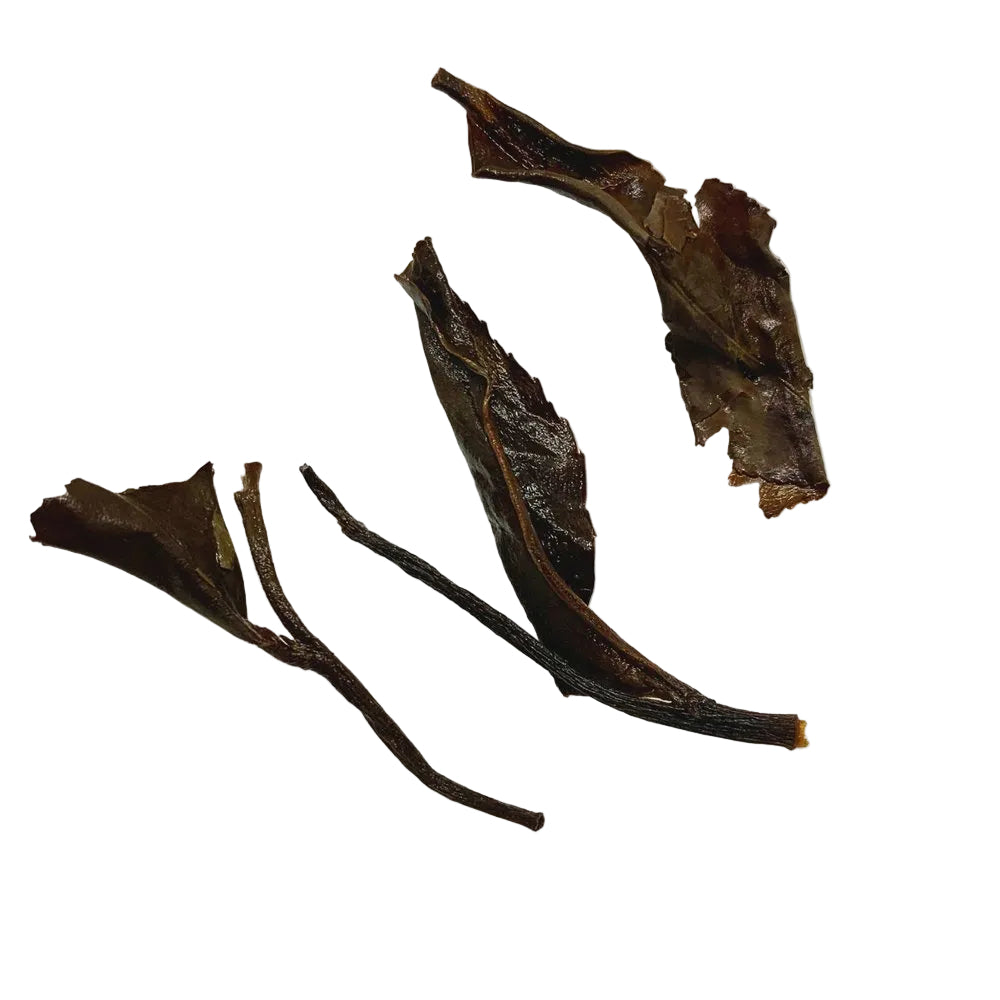 How to Brew White Tea: A Gentle Steeping Guide