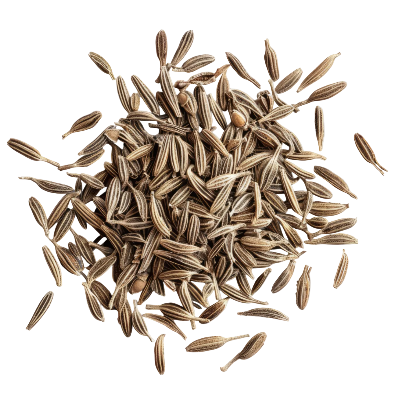 Cumin Seeds