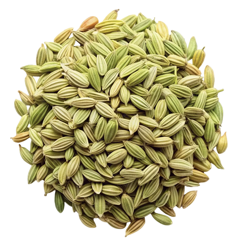Fennel Seeds