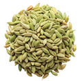 Fennel Seeds