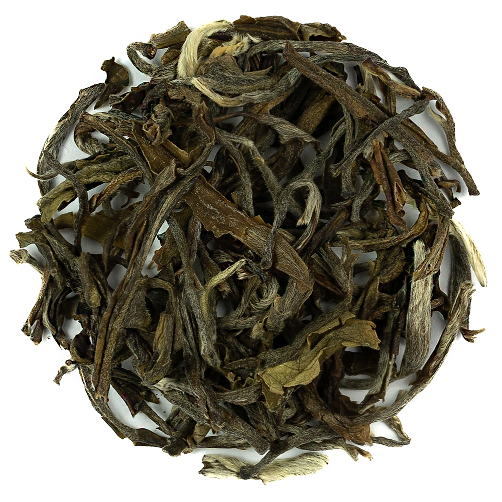 Snow Buds White Tea Loose Leaf Tin 100g