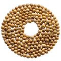 Coriander Seeds